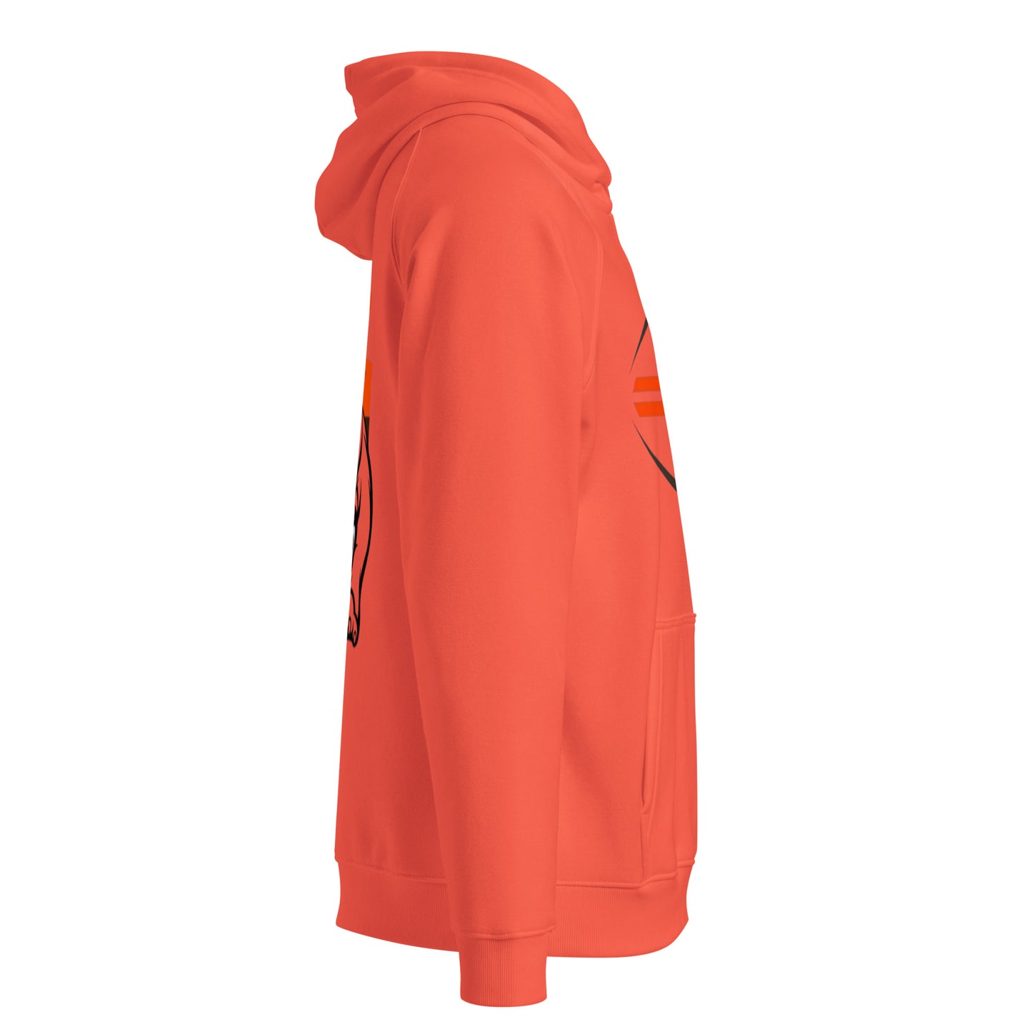 Raglan - Browns - Color Dawg